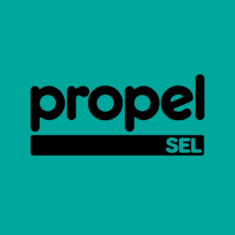 What Makes Sel Work >> Propel Sel Ignite Afterschool What Makes Sel Work >> Propel Sel Ignite Afterschool