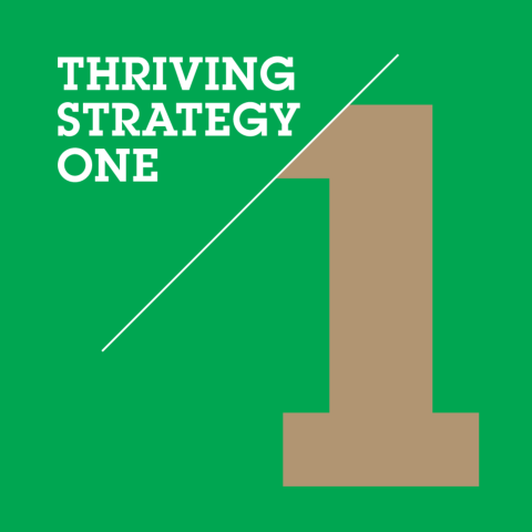 Thriving Strategy One Logo