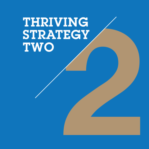 Thriving Strategy 2 logo